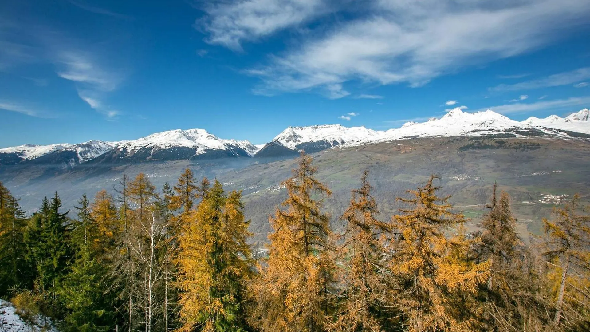 Studio Cosy A La Plagne, Proche Pistes - Animaux Admis - Fr-1-353-50 Apartment